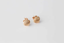 Load image into Gallery viewer, Cockle Shell Stud Earrings
